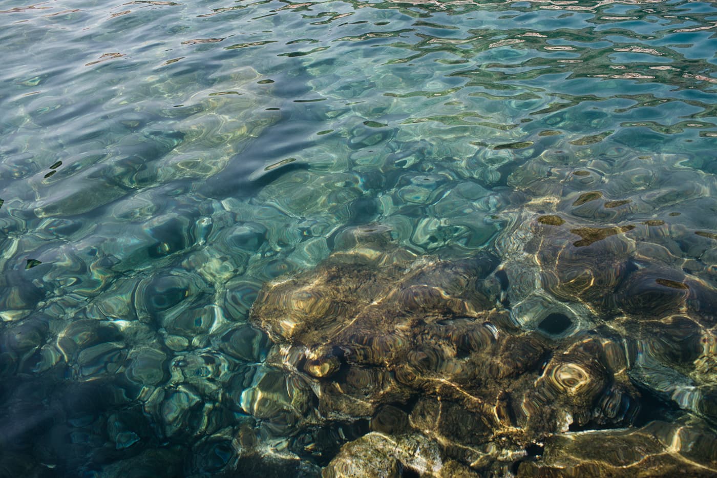 old port water