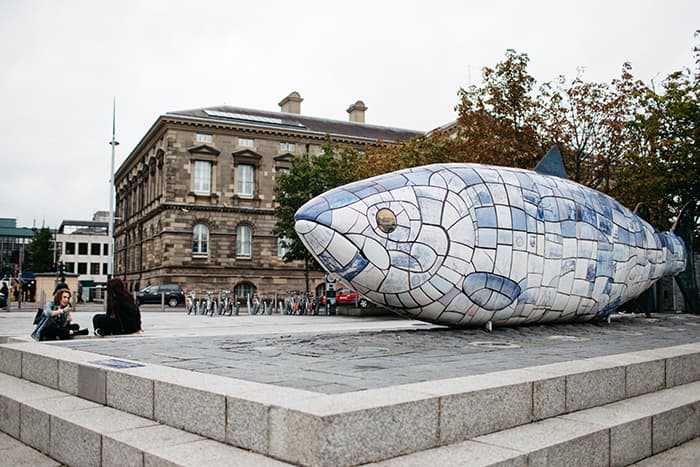 salmon of knowledge