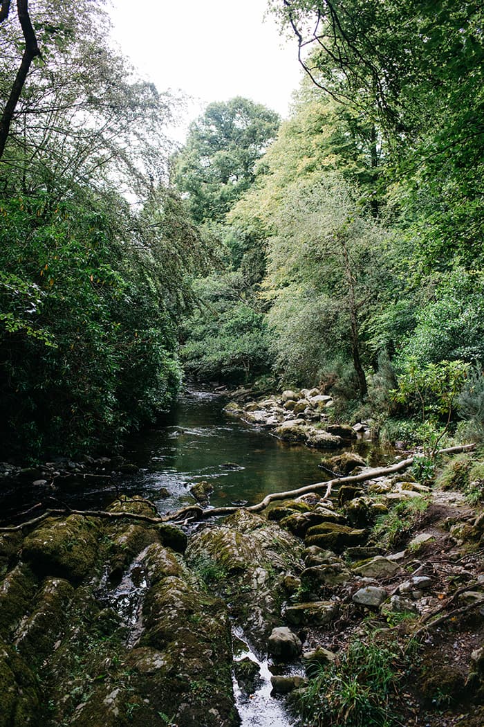 tollymore forest