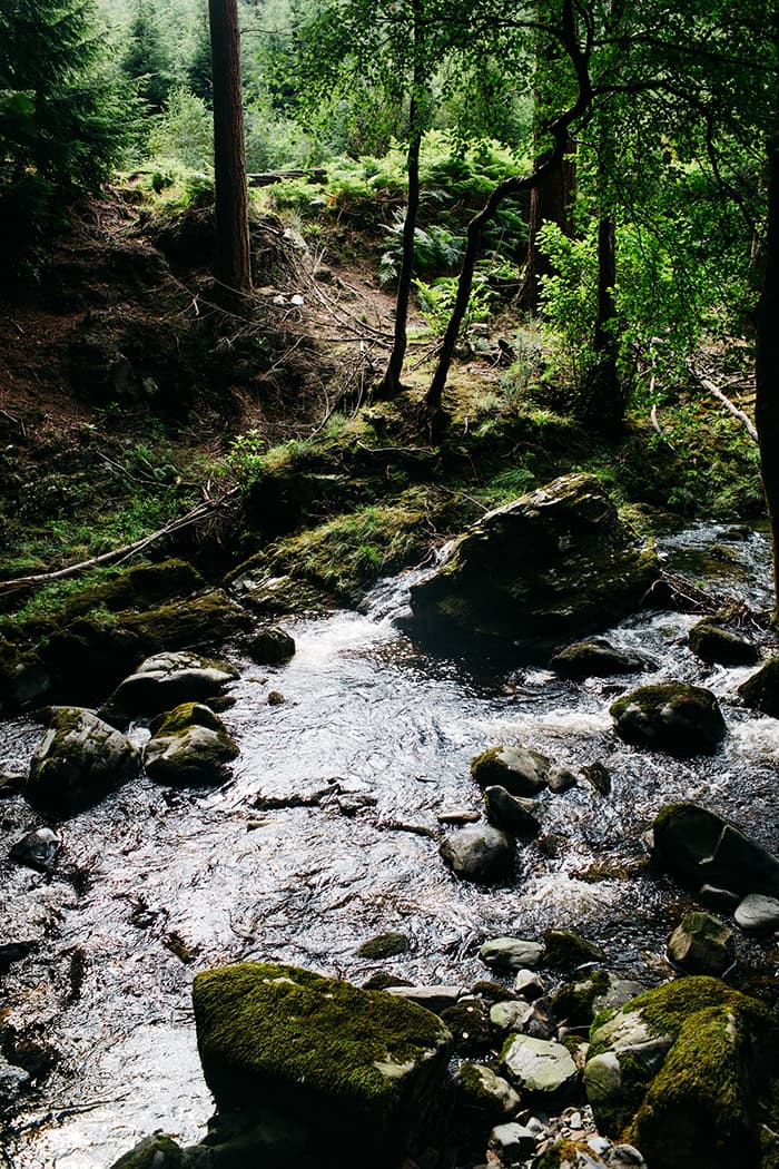 tollymore forest