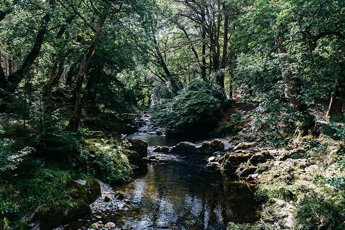 tollymore forest