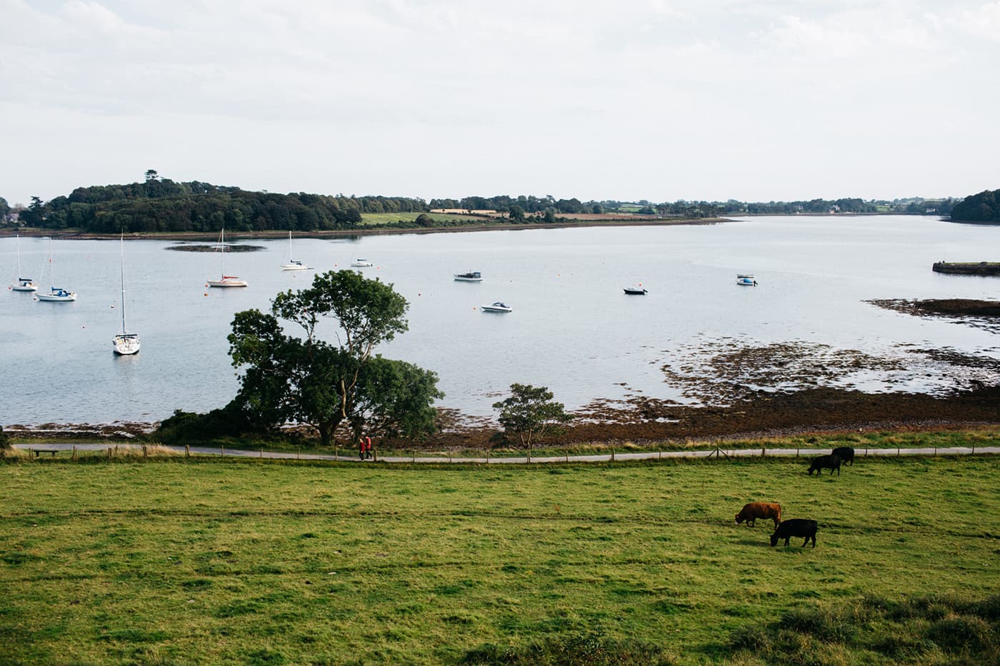 view of strangford lough